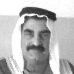 فواز (ابن الجدين) بن كردي بن منديل العيثاوي الذيابي الرديني الدليمي الزبيدي المذحجي