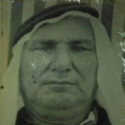 محمد بن عودة بن حردان العيثاوي الذيابي الرديني الدليمي الزبيدي المذحجي