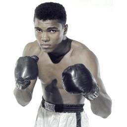 محمد علي بن كاسيوس مارسيلوس بن هيرمان بن جون