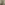سوين الثاني بن أولف بن ثورجلس سبريكلغ أستريدن