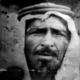 رميض بن حسن بن خلف الذيابي الرديني الدليمي الزبيدي المذحجي