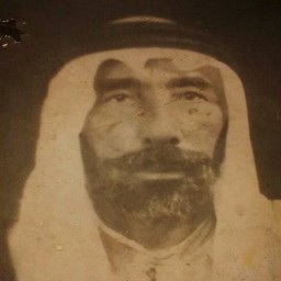 مشحن بن حردان بن عبدالحميد العيثاوي الذيابي الرديني الدليمي الزبيدي المذحجي