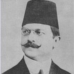 علي كمال بن أحمد رضا