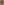 سيجيبيرت الأول بن كلوتير بن كلوفيس ميروفنجيون
