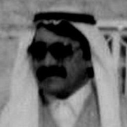عامر بن عفات بن فرج الخليفاوي الرديني الدليمي الزبيدي المذحجي