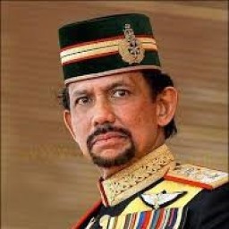 السلطان حسن بن عمر علي سيف الدين بن محمد جمال العلم بلقية الحسني العلوي الهاشمي القرشي الخندفي