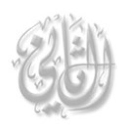 ثاني بن محمد بن ثامر المعضادي التميمي الربابي الخندفي