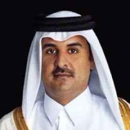 الشيخ تميم بن حمد بن خليفة بن حمد بن عبدالله بن جاسم بن محمد آل ثاني المعضادي التميمي الربابي الخندفي