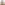 أحمد بن عيسى بن ظاهر البو علي العزامي المحمدي الدليمي الزبيدي المذحجي