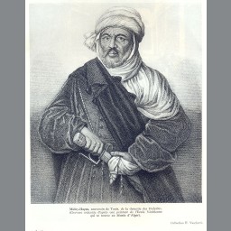 الحسن بن محمد بن الحسن الحفصي الهنتاني المصمودي